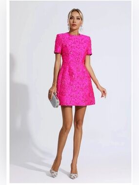 NWT Catchall Astrid Pink Jacquard Floral Mini Dress